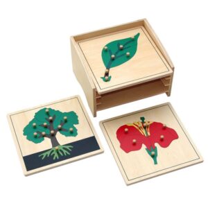 Botany Puzzles set of 3 with Cabinet