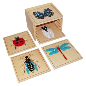 Insects Puzzles Cabinet