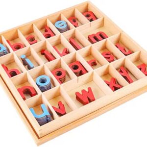 large Movable Alphabets Montessori