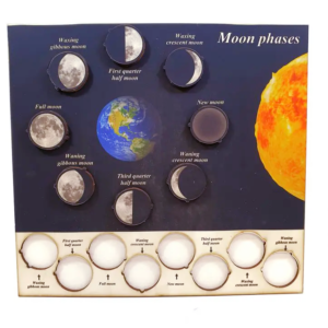 Moon Phases Puzzle Wooden