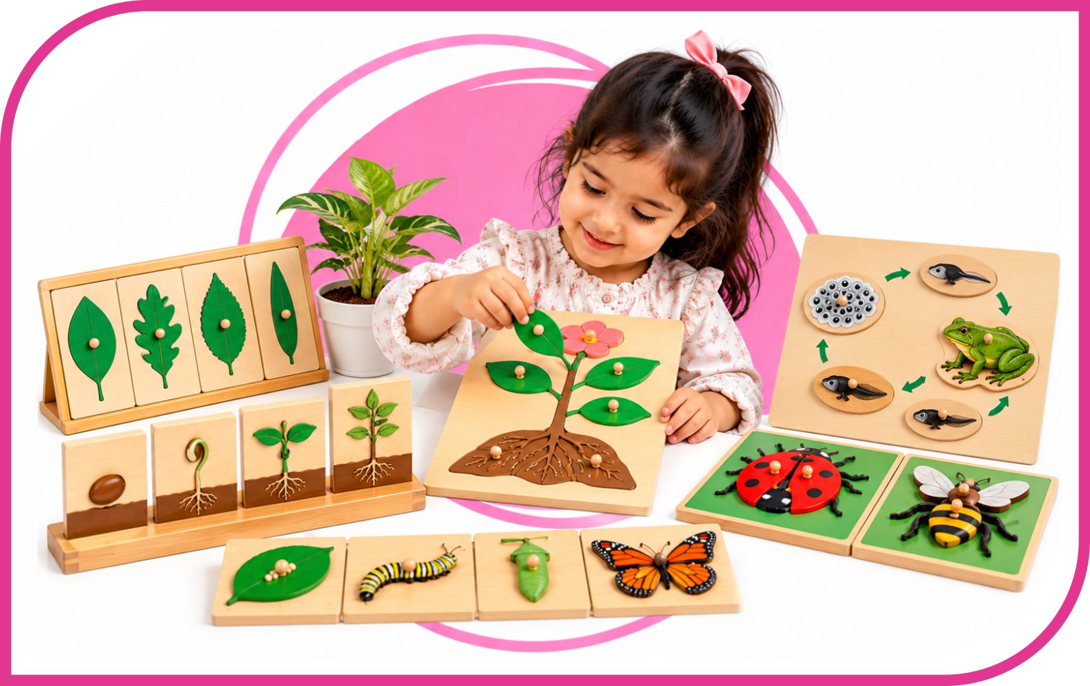 Botany and Biology Montessori Materials
